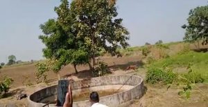 Read more about the article अखेर तो वाघ निघाला ,वनविभागाचा सुटकेचा श्वास