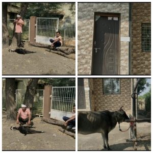 Read more about the article पशु वैद्यकीय दवाखान्याचा भोंगळ कारभार,उपचारासाठी अवाच्या सवा पैसे