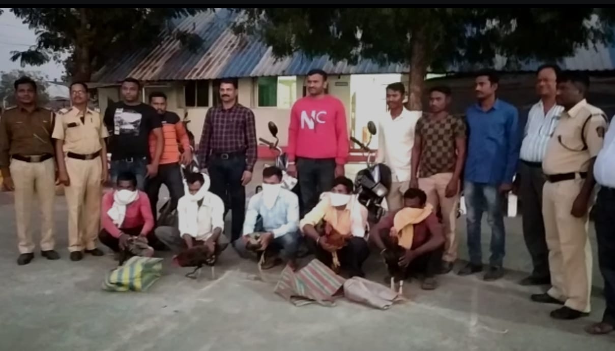 Read more about the article वडकी पोलिसांची वरध शेत शिवारात कोंबड बाजारावर धाड ,१ लाख ७१ हजाराच्या मुद्देमालासह ५ आरोपींना अटक, ८ आरोपी फरार