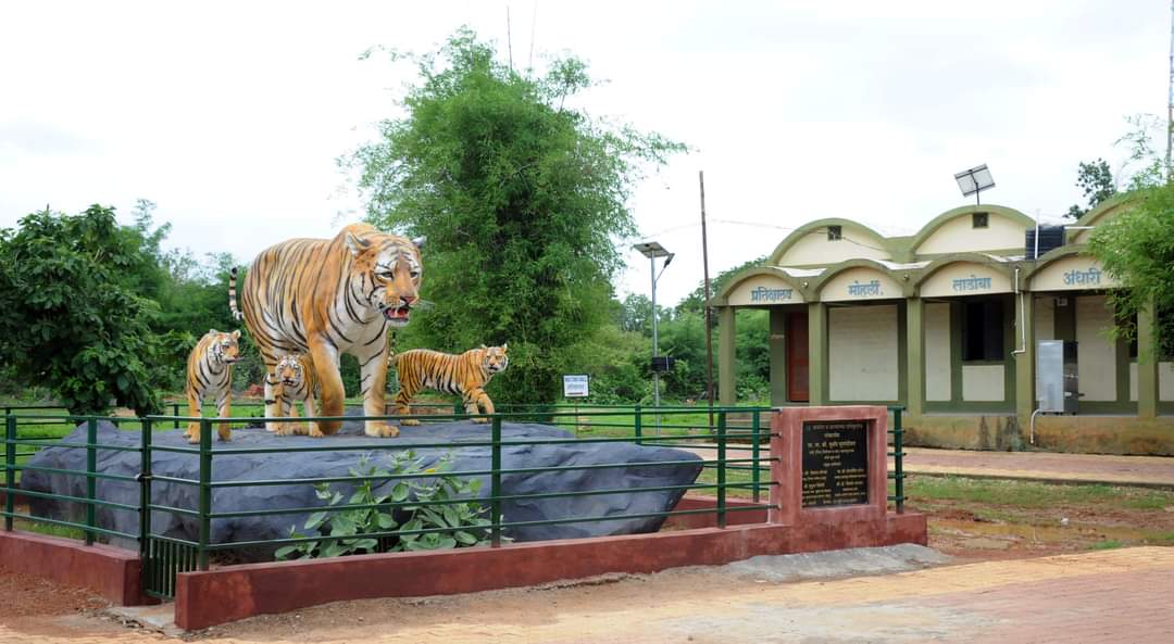 Read more about the article कोविड-19 च्या पार्श्वभुमीवर ताडोबा-अंधारी व्याघ्र प्रकल्पातील निसर्ग पर्यटनाकरीता निर्बंध लागू