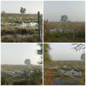 Read more about the article बेंबळा कँनलचे पाणी शेतात शिरल्याने शेतकऱ्यांचे मोठे नुकसान,दोनदा तक्रार देवुन सुध्दा वरिष्ठ अधिकाऱ्यांचे दुर्लक्ष