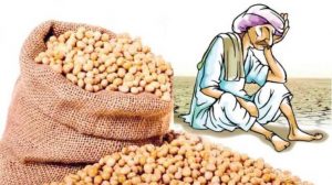 Read more about the article भेंडाळा येथे १८ क्विंटल सोयाबीन तर शेकापुर येथे ४ क्विंटल कापूस व १० स्पीकलर पाईपची चोरी