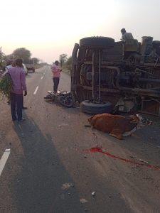 Read more about the article गायीला वाचविण्याच्या नादात टिप्परची दुचाकी स्वारास धडक,गाय ठार तर २ जण गंभीर जखमी