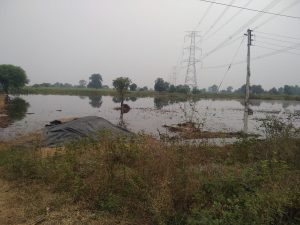 Read more about the article बेंबळा प्रकल्प अधिकारी यांनी पुसली शेतकऱ्यांच्या तोंडाला पाणी