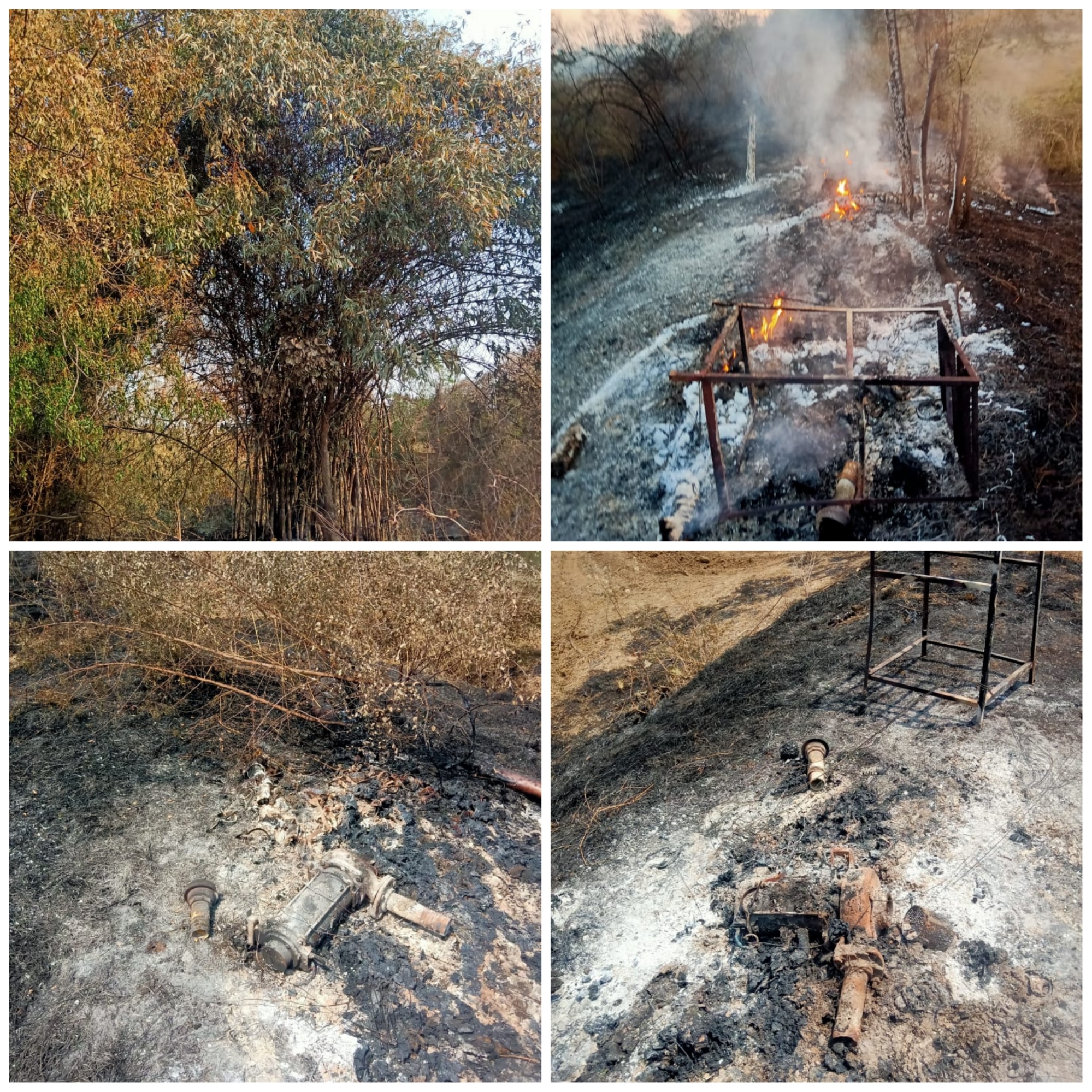 Read more about the article अज्ञात व्यक्तीने शेतात वनवा लावल्याने दोन लाखाचे नुकसान,खडकी येथील अनिल धोबे यांच्या शेतातील घटना