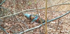 Read more about the article वरोरा तालुक्यातील या गावातील तंटा मुक्ती अध्यक्षाचा खून ,झुडुपात मिळाला मृतदेह