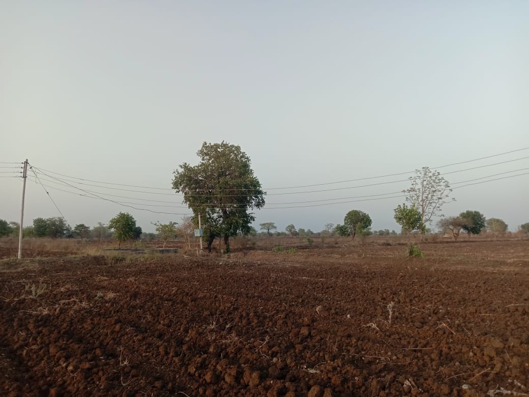 Read more about the article वीज वितरण कंपनी राळेगावचा भोंगळ कारभार,शेतात लोंबलेले  तार धोकादायक