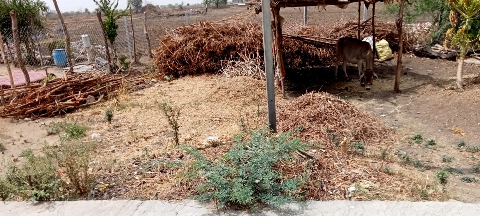 Read more about the article ग्राम पंचायत हद्दीतील घाणीमुळे आरोग्यावर दुष्परिणाम ,अर्ज देऊनही ग्राम पंचायत चिकणी कडून दुर्लक्ष गटविकास अधिकाऱ्यांना निवेदन