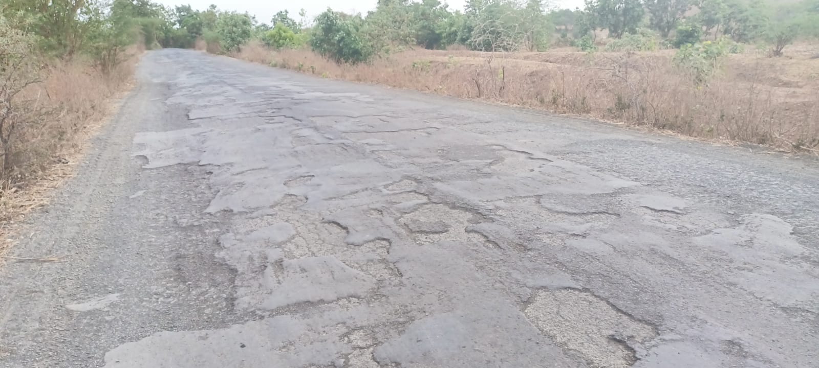 Read more about the article राज्य महामार्ग क्रं ९ च्या दुरावस्थेने जनता झाली त्रस्त, अपूर्ण कामाने लोकांमध्ये नाराजी