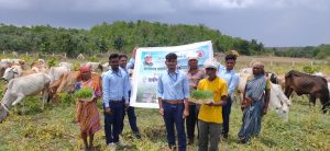 Read more about the article कृषी दूतांनी केले शेतकऱ्यांना हायड्रोपोनिक्स बद्दल मार्गदर्शन