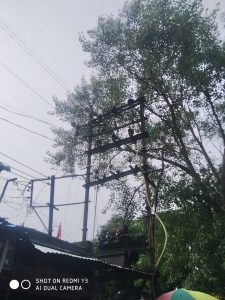 Read more about the article वीज वितरण कंपनी राळेगांव ने ट्री कटिंग न केल्याने या वर्षी पाच वानरांचा मृत्यू?