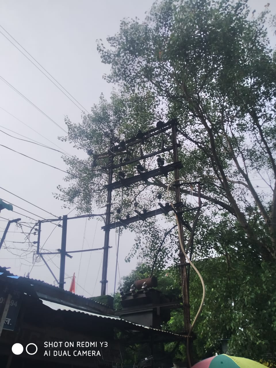 Read more about the article वीज वितरण कंपनी राळेगांव ने ट्री कटिंग न केल्याने या वर्षी पाच वानरांचा मृत्यू?