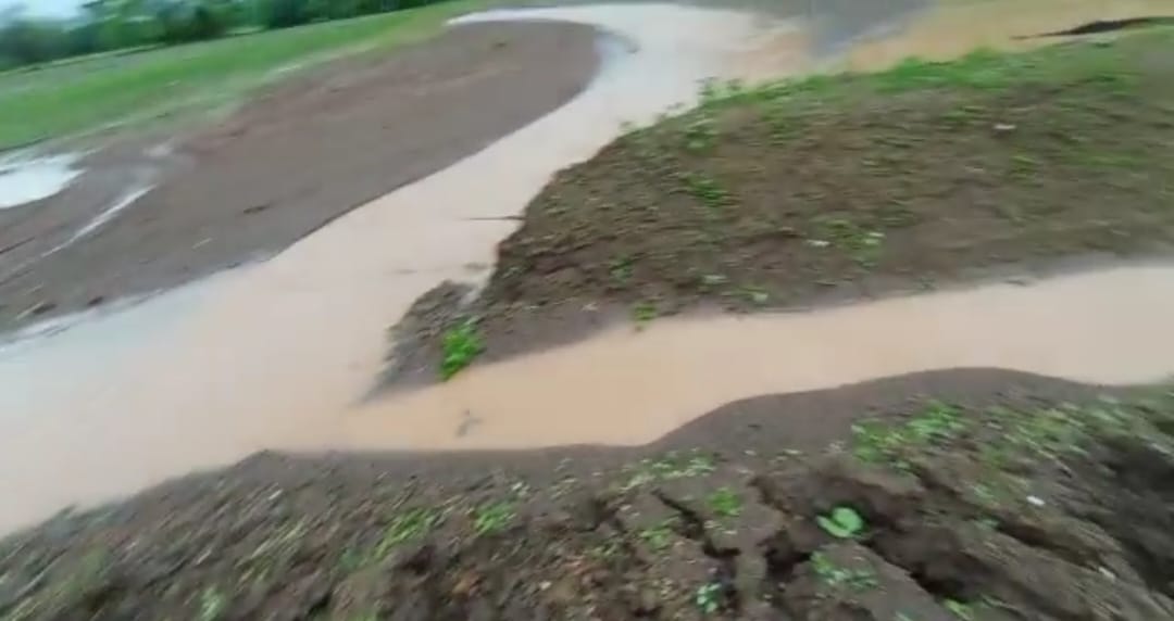 Read more about the article बेंबळा प्रकल्पाच्या तुघलकी कामाने आणले अंतरगाव येथील शेतकऱ्यांच्या डोळ्यात पाणी,(मायनर फुटल्याने पाच एकर शेतातील पिकांचे नुकसान)