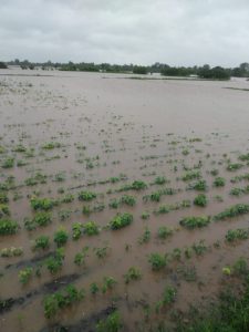 Read more about the article शिवार पाण्याखाली गेला , घरांचा गोठा होऊन गेला , रात्री अंकुरली स्वप्ने, पहाटे चिखल हाती आला