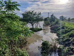 Read more about the article बेंबळा कालवे प्रकल्पाच्या मुख्य कालव्याचे काम करतांना शेतात पाणी शिरले