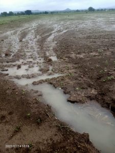 Read more about the article नुकसानचे पंचनामे करण्यास महसूल विभागाला मुहूर्त सापडेना ?