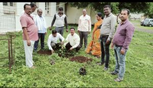 Read more about the article महाराष्ट्र राज्य प्राथमिक शिक्षक समितीचा वर्धापन दिनाच्या निमित्ताने राळेगाव शाखेकडून पंचायत समिती कार्यालयाच्या पटांगणात समाज उपयोगी असा वृक्षारोपण
