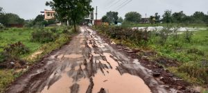 Read more about the article ढाणकीत प्रभाग क्र.16 मधील रस्त्याची दुरावस्था
