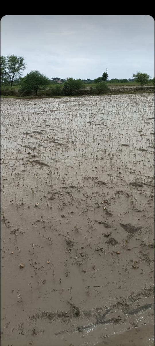 Read more about the article आपादग्रस्त परिस्थिती मध्ये प्रशासनाची भूमिका सराहनिय?