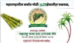 Read more about the article ढानकी गावातील  तरुण शेतकऱ्यांची महाराष्ट्र राज्य ऊस उत्पादक संघाच्या वेगवेगळ्या पदावर नियुक्ती ,गावाला मिळाले मानाचे स्थान