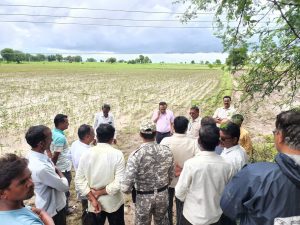 Read more about the article भर पावसात जिल्हाधिका-यांनी केली नुकसानग्रस्त शेतीची पाहणी,त्वरीत पंचनामे करण्याचे आदेश,