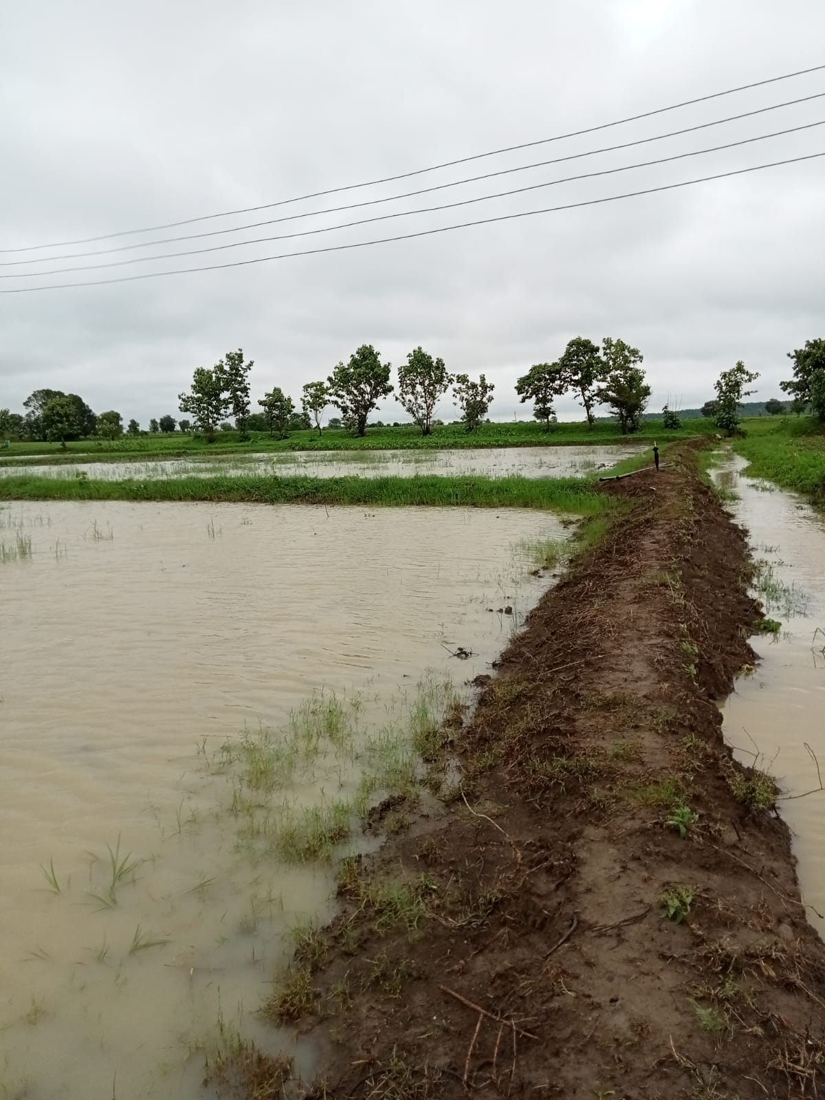 Read more about the article साहेब वावरात पाणी हाय ,राहाले घर नाही ,झेंडा लावू कुठं?