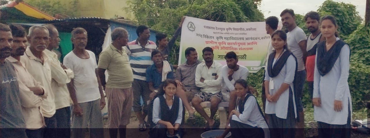 Read more about the article विद्यार्थीनींनी दिले शेतकऱ्यांना अझोला उत्पादनाचे प्रशिक्षण