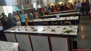 Read more about the article रासेयोद्वारा रानभाजी महोत्सव व पर्यावरण पूरक राखी प्रदर्शनी