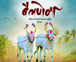 Read more about the article लाडक्या सर्जा राजाच्या सणासाठी उसनवारी करून बळीराजा बाजारात