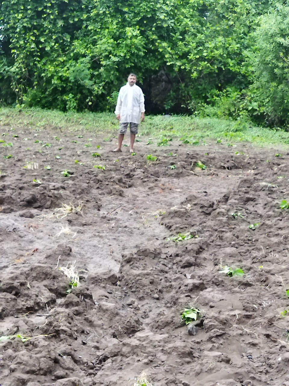 Read more about the article दुर्देवाचे दशावतार आमच्याच भाळी का यावे [ अस्मानी व सुलतानी संकटाच्या मालिकेने राळेगाव तालुका हादरला ]