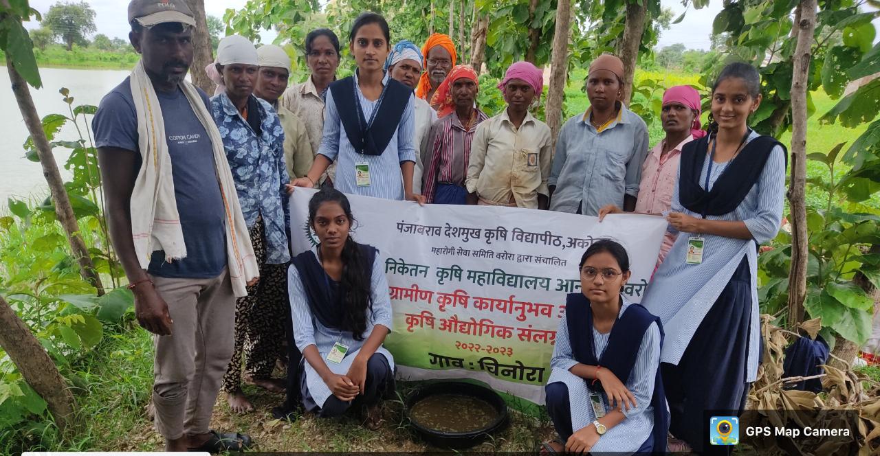 Read more about the article कृषी विद्यार्थिनींनी दिले शेतकऱ्यांना अझोला उत्पादनाचे प्रशिक्षण