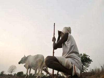 Read more about the article शेतकऱ्यांना पावसाची प्रतिक्षा,शेतकरी चिंतातुर