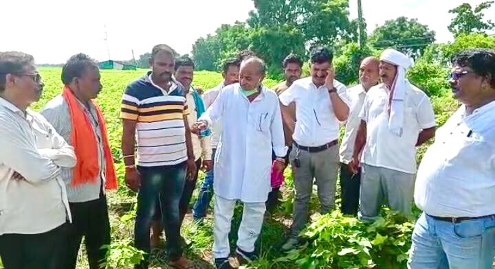 Read more about the article विश्वास ऍग्रोच्या तणनाशक फवारणीमुळे पिके जळाल्याने शेतकऱ्यांना नुकसान भरपाई द्या-माजी आमदार प्रा.राजु तिमांडे,शेताच्या बांधावर जाऊन केली पाहणी