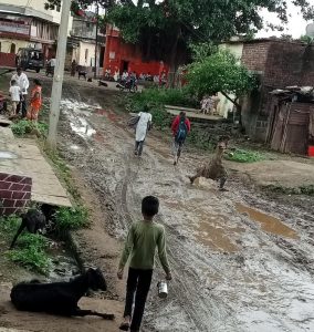 Read more about the article कोळी गावातील अंतर्गत रस्त्याची दुरावस्था,रस्त्याची झालीय चाळणं