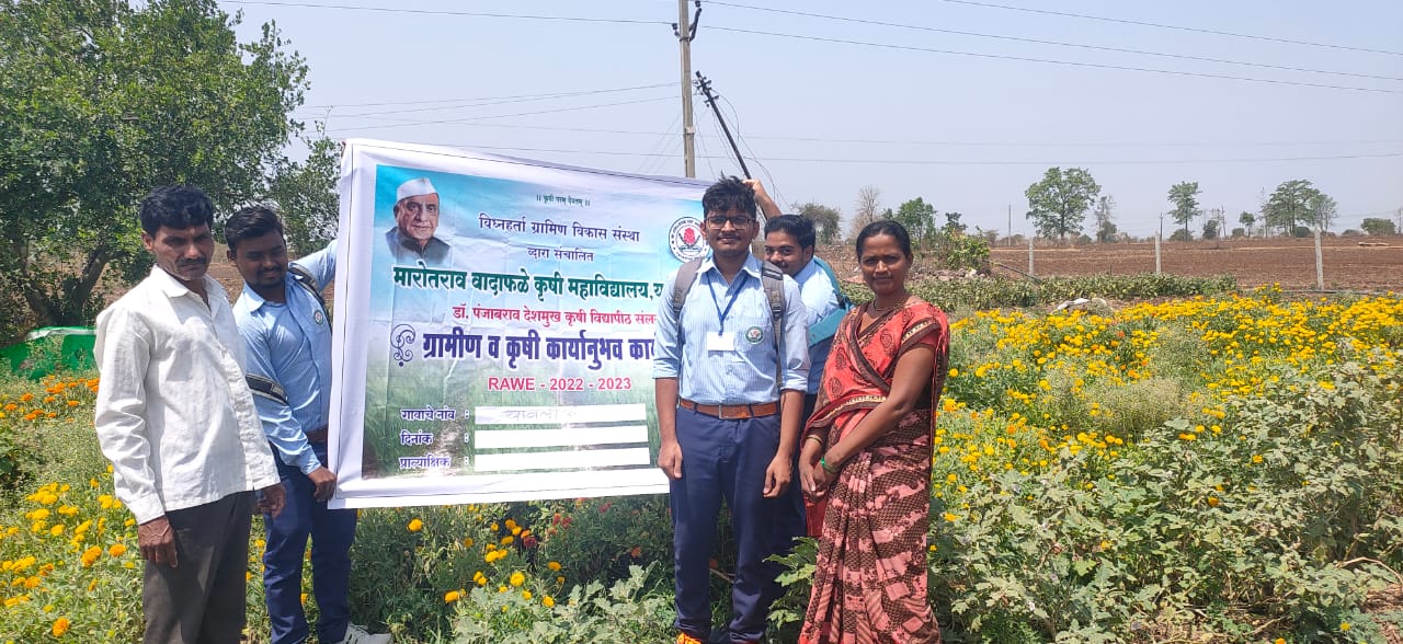 Read more about the article कृषी दुतांनी दिली फुल बागेच्या शेतीला भेट
