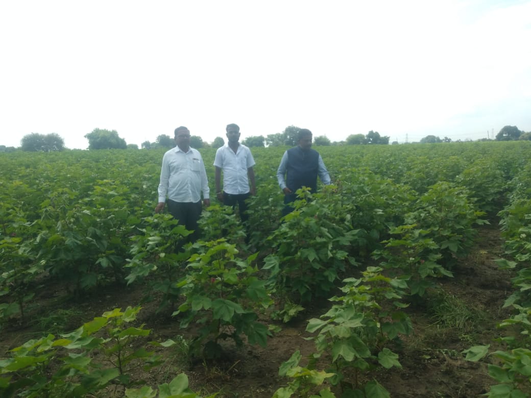 Read more about the article तहसीलदार डॉ. रवींद्र कानडजे शेतकऱ्यांच्या बांधावर,कृषी विभागांना लाजवणारा विषय. तहसीलदार रवींद्र कानडजे यांनी शेतातुन कृषी अधिकारी यांना केला फोन