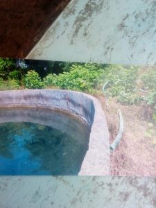 Read more about the article झाडगाव येथे शेतातील मोटरपंपाची चोरी