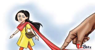 Read more about the article वरोरा शहरात दोन दिवसात विनयभंगाचा दुसरा गुन्हा दाखल,वकील महिलेचा विनयभंग,गुन्हा दाखल