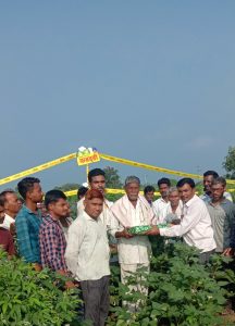 Read more about the article तालुक्यातील पीक पाहणी करताना शेतकऱ्यांचा सन्मान