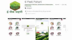 Read more about the article ई पीक पाहणी नोंदणीला तारीख पे तारीख ई पीक पाहणी नोंदणीला शेतकऱ्यांचा थंड प्रतिसाद