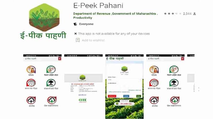 Read more about the article ई पीक पाहणी नोंदणीला तारीख पे तारीख ई पीक पाहणी नोंदणीला शेतकऱ्यांचा थंड प्रतिसाद