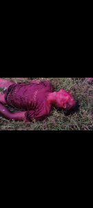 Read more about the article धक्कादायक: वाघाच्या हल्ल्यात तरुण शेतकऱ्याचा मृत्यू