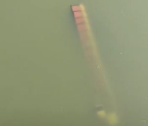 Read more about the article वर्धा नदीच्या पुलाखाली ट्रक पडल्याने एकाचा मृत्यू