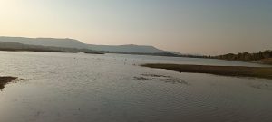 Read more about the article निंगणुर येथील तळ्यावर येतात परदेशी पाहुणे, पक्षी प्रेमीसाठी मेजवानी, मापक माशांच्या उपलब्धतेमुळे शिकारी पक्षांना मेजवानी