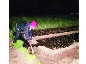 Read more about the article ढाणकी महावितरणच्या कारभारामुळे शेतकरी त्रस्त,पिकाला पाणी देण्यासाठी शेतकऱ्यांचे रात्री जागरण