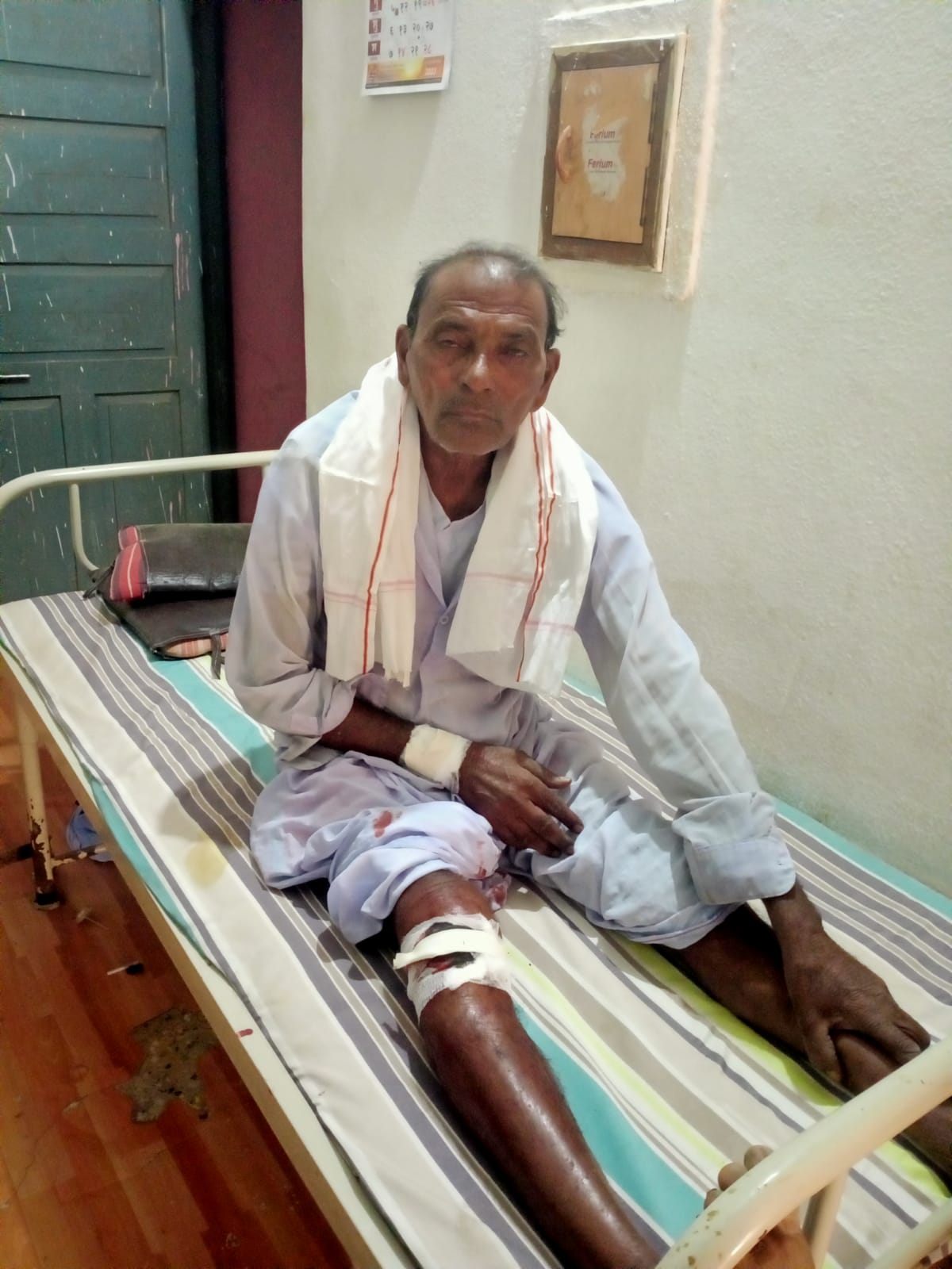 Read more about the article रानडुकराच्या हल्ल्यात शेतकरी गंभीर जखमी