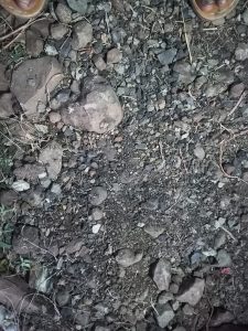 Read more about the article विहिरीचे खोदकाम करीत असताना आढळला दगडी कोळसा?