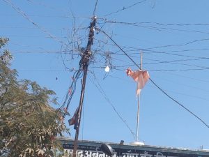 Read more about the article ढाणकी शहरातील पथदिवे दिवसा सुद्धा सुरू सूर्यप्रकाशात पथदिव्यांचे लख्खप्रकाशाची उधळण