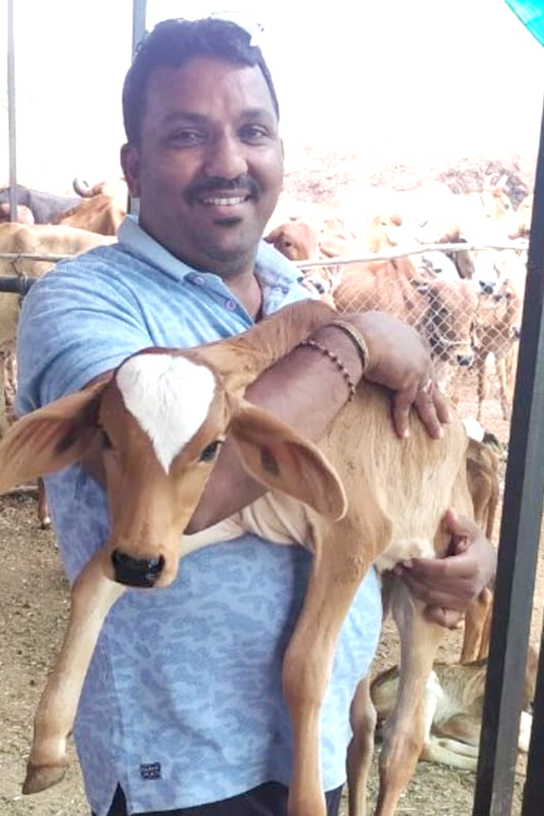 Read more about the article ढाणकी शहरात गोशाळेची निर्मिती स्तुत्य उपक्रमासाठी रुपेश येरावार यांच्या रूपाने दातृत्व आले पुढे