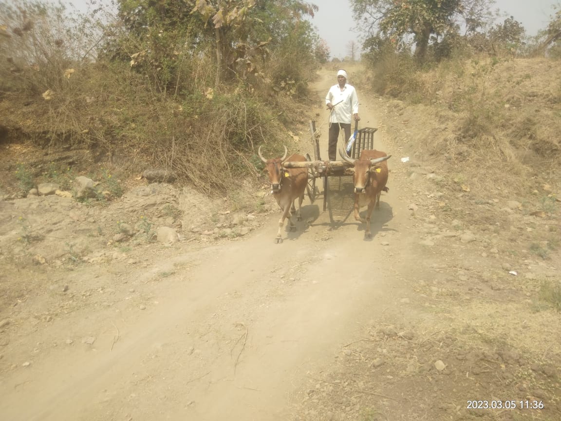Read more about the article खापरी ते गांगापुर पांदण रस्ताची झाली दुर्दशा रस्त्याची झाली दैना शेतकर्यांचे कूणी ऐकेना